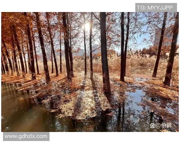 深圳乒乓球队心理素质深度对比及其对比赛表现的影响分析