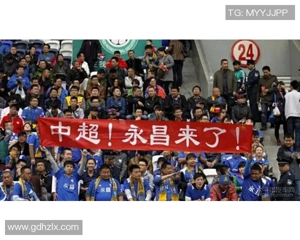 重庆羽毛球队灵活性深度解析与其他球队的对比研究